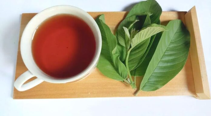 “Unlocking Six Sensational Health Benefits: The Magic of Guava Leaf Tea”