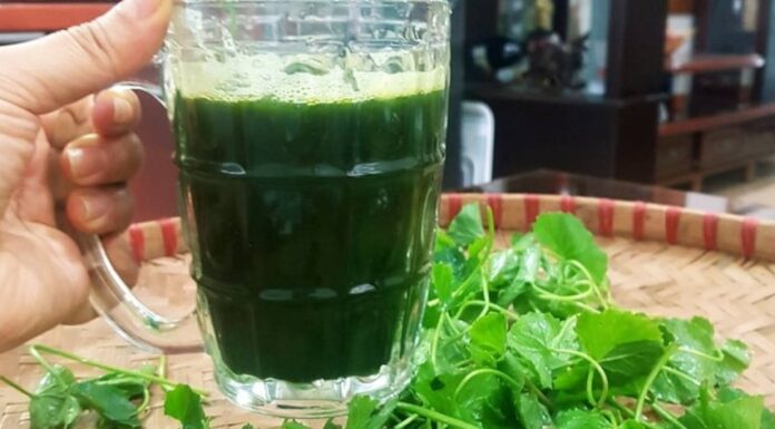 7 Refreshing Drinks to Cool Your Liver, Nourish Your Kidneys, and Flush Out Toxins