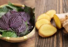 What Are the Benefits of Drinking Perilla Leaf and Ginger Tea?