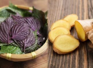 What Are the Benefits of Drinking Perilla Leaf and Ginger Tea?