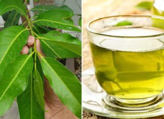 Does Drinking Lemongrass Tea Have Any Health Benefits?