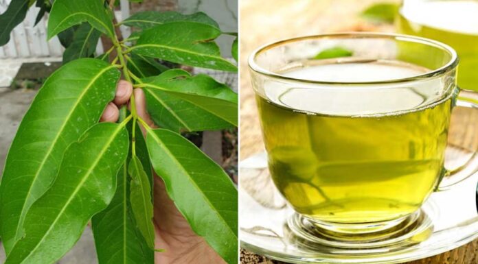 Does Drinking Lemongrass Tea Have Any Health Benefits?