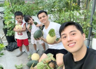 The Green Thumb Dad: $3,200 and a Green Oasis on the Rooftop
