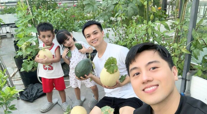 The Green Thumb Dad: $3,200 and a Green Oasis on the Rooftop