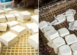 Distinguishing Between Clean Tofu and Plaster-Made Tofu: Pay Attention to These 4 Things