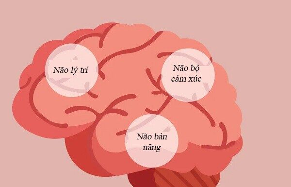 3 Missed Opportunities to Make Your Child Smarter: Are Parents Doing Enough?