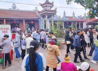 The 300-Year-Old Market in the Heart of Thai Binh: A Singular Spectacle Drawing 15,000 Visitors