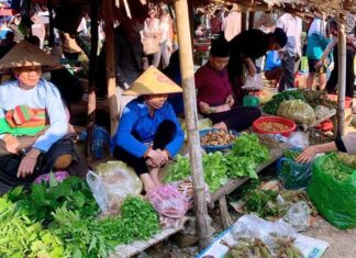 The Century-Old Market: A Unique Destination and Pride of Thanh Land