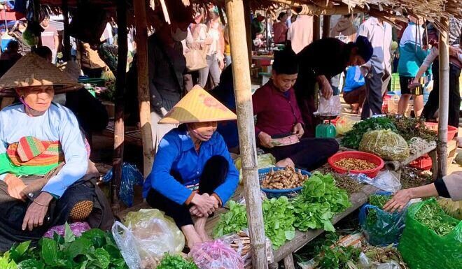 The Century-Old Market: A Unique Destination and Pride of Thanh Land
