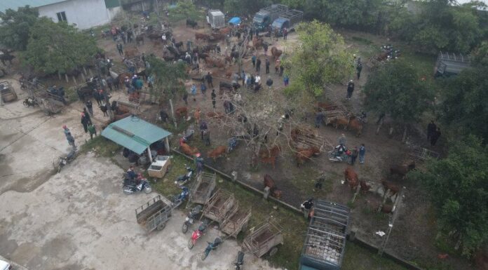The Strange Market of Ha Tinh: A Unique Shopping Experience That Has Stood the Test of Time