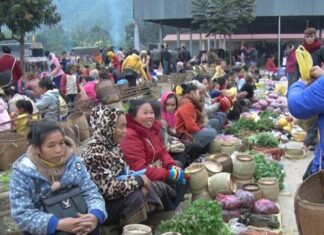 The Strange Market in Thanh Hoa: A Border Town’s Trade Hub Turned Tourist Attraction