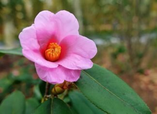 Women Who Possess These 3 Habits Are Truly Brilliant, It’s Not That Simple.