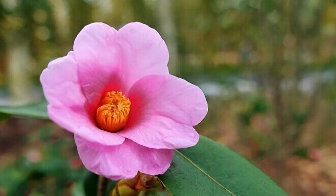 Women Who Possess These 3 Habits Are Truly Brilliant, It’s Not That Simple.