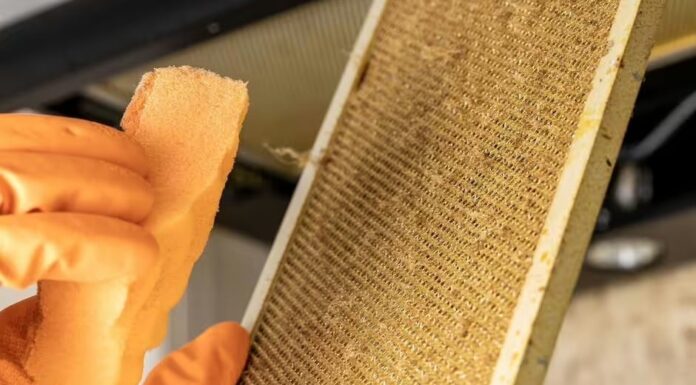 The Ultimate Guide to Removing Stubborn Grease from Your Kitchen Exhaust Fan in 5 Minutes with One Natural Wonder Ingredient