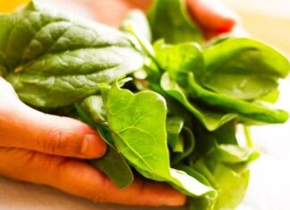 Super Veggie: Unlocking Growth with Every Bite