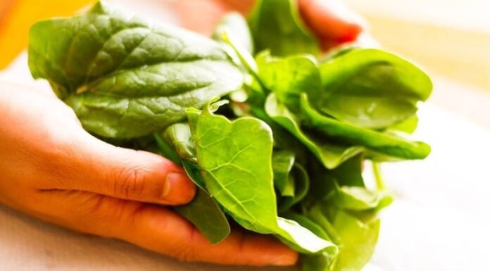 Super Veggie: Unlocking Growth with Every Bite