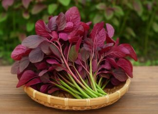 Superfood Spinach: Nature’s Affordable Multivitamin, Packed with Iron and Heart-Healthy Goodness