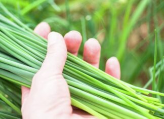 Eat These 3 Veggies This Spring to Cleanse and Detox Your Liver, For a Good Night’s Sleep.