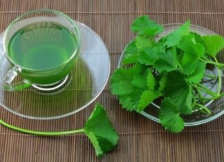5 Wild Weeds That Heal Your Liver