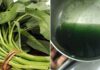 Identifying Pesticide-Laden Water Spinach: A Guide to Shopping Smart
