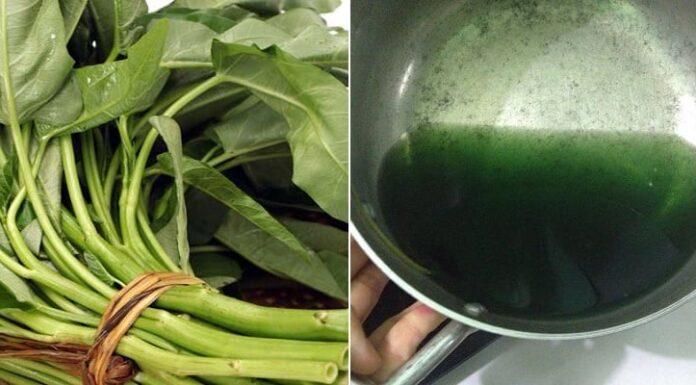 Identifying Pesticide-Laden Water Spinach: A Guide to Shopping Smart