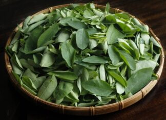 The Ultimate Green Thumb’s Delight: Nature’s Bounty at Your Fingertips.