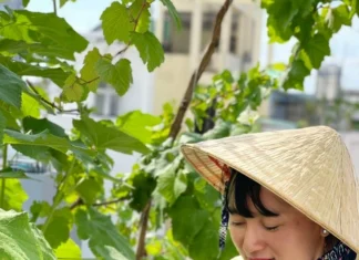 Grow Your Own Organic Veggies: From Rooftop to Table, with Plenty to Spare!