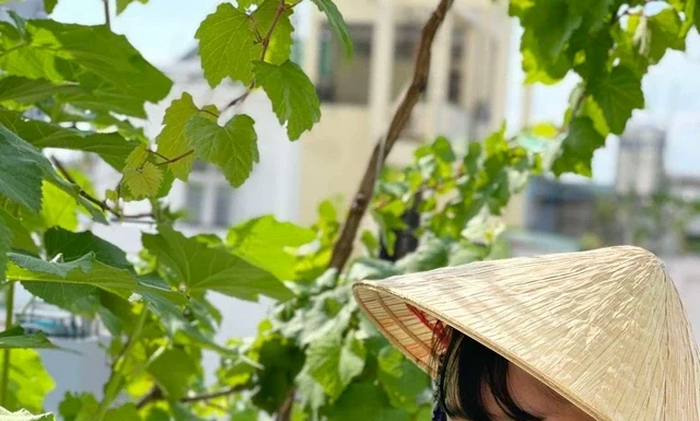 Grow Your Own Organic Veggies: From Rooftop to Table, with Plenty to Spare!