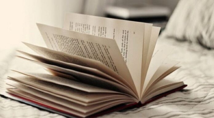 Place One of These Three Things Under Your Pillow at the Start of the Month to Attract Wealth and Good Fortune