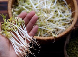 5 Common Mistakes When Storing Bean Sprouts: How You May Be Sabotaging Your Health