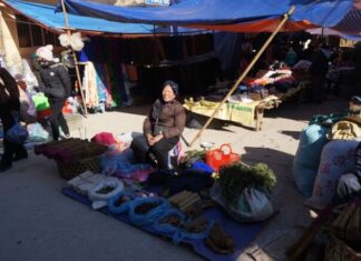 The Ultimate Guide to Cao Bang’s Exotic Delicacies: A Shopper’s Paradise with a Unique Twist