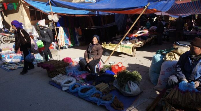 The Ultimate Guide to Cao Bang’s Exotic Delicacies: A Shopper’s Paradise with a Unique Twist