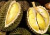 Sufferers of These 5 Conditions Should Refrain from Eating Durian
