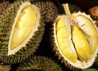 Sufferers of These 5 Conditions Should Refrain from Eating Durian