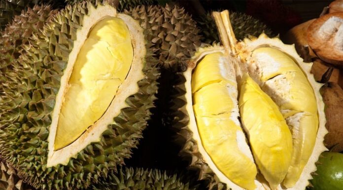 Sufferers of These 5 Conditions Should Refrain from Eating Durian