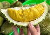 Those Who Should Avoid Eating Durian