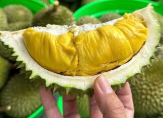 Those Who Should Avoid Eating Durian