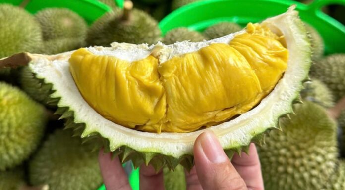 Those Who Should Avoid Eating Durian
