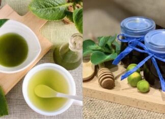 3 Natural Remedies for Cough: Effective, Safe and Gentle Relief