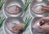How to Fry Croaker Fish: Keep the Scales or Remove Them? Learn This Trick for a Golden, Crispy Crust on Both Sides