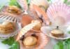 5 Types of Seafood That Are Considered a “Superfood” for Cancer Prevention