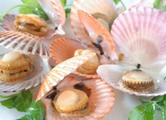 5 Types of Seafood That Are Considered a “Superfood” for Cancer Prevention