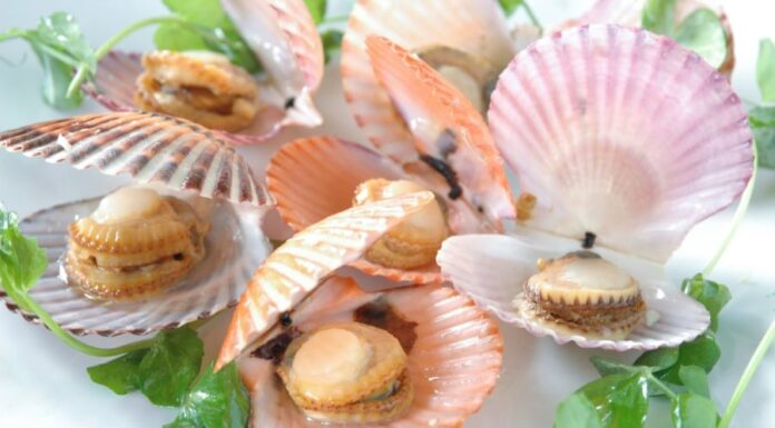 5 Types of Seafood That Are Considered a “Superfood” for Cancer Prevention