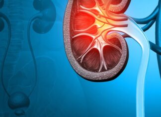 6 Early Signs of Kidney Failure: Be Aware and Take Action
