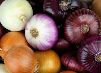 The Humble Root: A ‘Superfood’ for Male Vitality