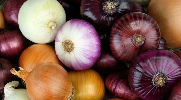 The Humble Root: A ‘Superfood’ for Male Vitality