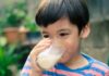 “Boost Your Immune System with Milk”: A Tasty, Nutritious, and Effective Way for Mothers to Alleviate the Worries of Their Sick Children