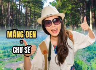 Exploring Vietnam’s Untouched Highlands: Mang Den or Chu Se – Which Destination Offers the Ultimate Experience?