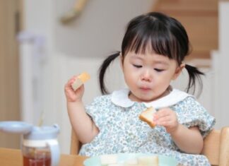 Where Does Food Go After Being Swallowed? A Journey Through the ‘Second Brain’