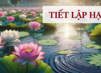 The Summer Solstice: Two Things to Avoid and Three Things to Embrace for a Peaceful Home